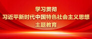 操B视频在线观看学习贯彻习近平新时代中国特色社会主义思想主题教育_fororder_ad-371X160(2)